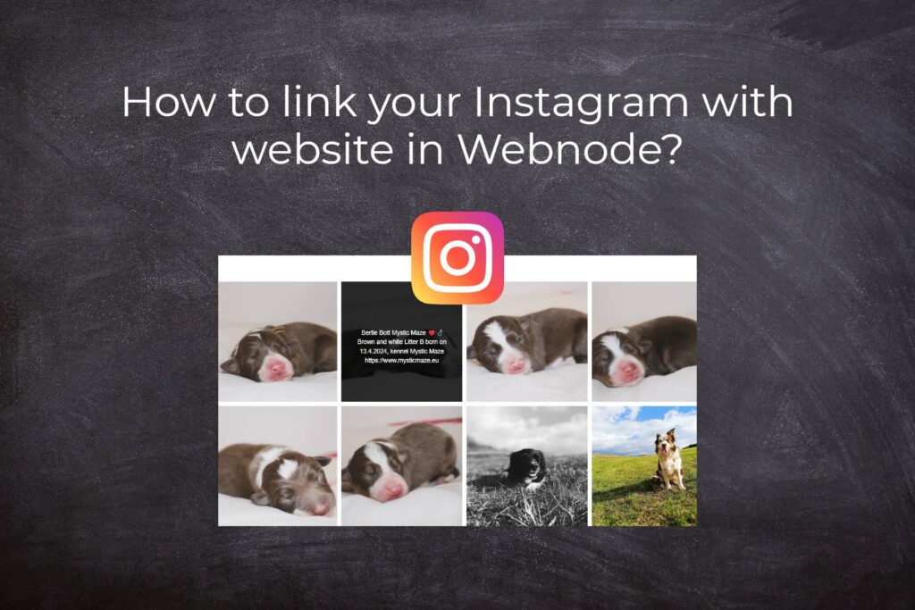 How to link your Instagram with website in Webnode?