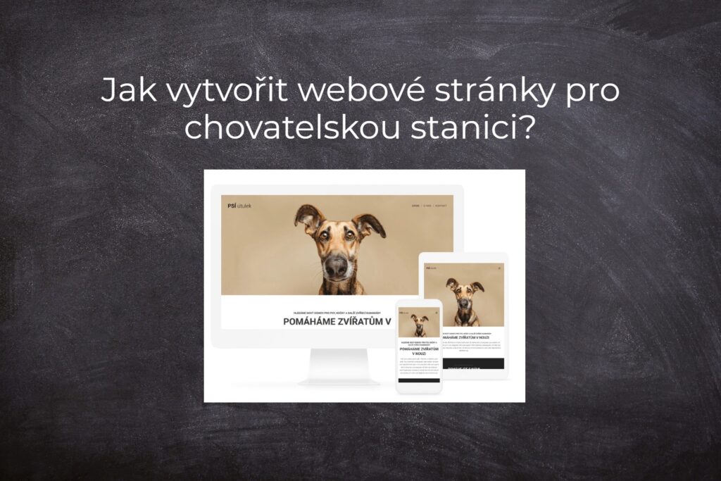 Jak vytvořit webové stránky pro chovatelskou stanici?